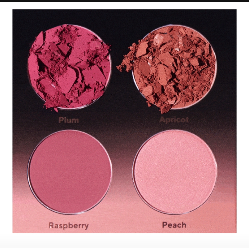 Shades by Shan Blush Palette